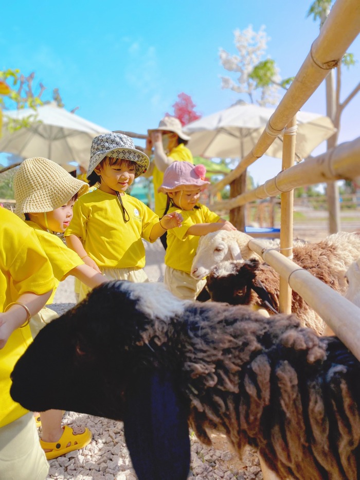 gozoo_farm_dat_do_vung_tau_9