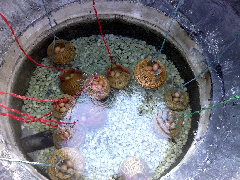 luoc trung suoi nuoc nong binh chau