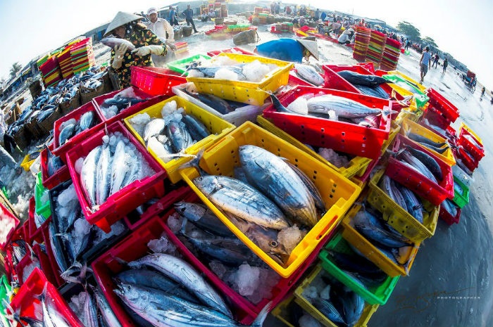 du-lich-cang-ca-long-hai-mytour-2