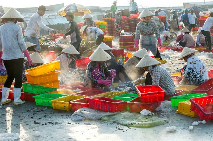 du-lich-cang-ca-long-hai-mytour-4